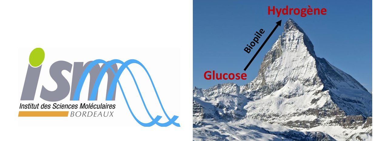 Parution d'un article sur des recherches sur les biopiles menées à l'ISM Parution d'un article sur des recherches sur les biopiles menées à l'ISM